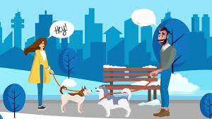 Debunked Top 5 Misconceptions About Service Dogs And Esas Emotional Support Animal Support Animal Service Dogs