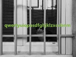 This word means you have typed both qwertyuiopasdfghjklzxcvbnm and mnbvcxzlkjhgfdsapoiuytrewq into google and are still bored yet haven't killed yourself from it yet. Qwertyuiopasdfghjklzxcvbnm What Does Qwertyuiopasdfghjklzxcvbnm Mean Slang Org