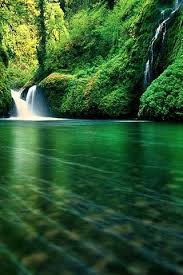 Green Mobile Wallpapers Jpg 320 480 Hd Nature Wallpapers Nature Images Nature Wallpaper