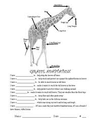 Some of the worksheets displayed are animal adaptations, animal adaptations, functions of animal adaptations, animal adaptations, haleakal national park what is my adaptation, activity. 4 Ls1 A Animal Plant Adaptation Worksheet Answer Keys By Ps Iteach