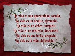 Si te topas con un camino. Frases Los Caminos De La Vida Home Facebook