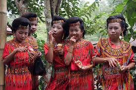 Geographical and historical treatment of indonesia, including maps and statistics as well as a survey of its people, economy, and government. Torajan People Wikipedia