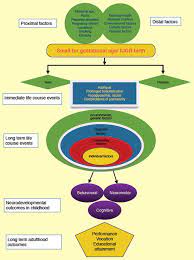 Long Term Neurocognitive Outcomes Of Sga Iugr Infants Sciencedirect