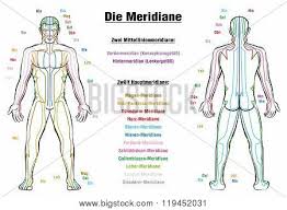 Meridian System Vector Photo Free Trial Bigstock