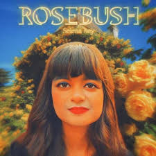 Selena Roy's Instagram, Twitter & Facebook