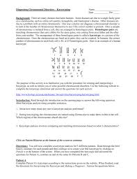 Human karyotyping gizmo answer key bing just pdf. Diagnosing Chromosomal Disorders