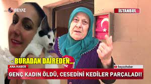 genc kadin oldu cesedini kediler parcaladi youtube