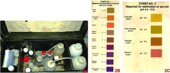 a soil p h measuring kit b chart 1 p h level 6 0 to 10 0