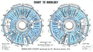 41 rigorous iris diagnosis chart