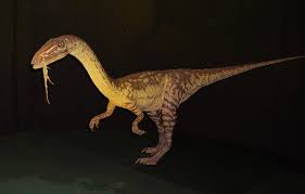 1 characteristics 2 gameplay 2.1 behaviour 3 paleontology 3.1 paleoecology 4 behind the scenes 5 gallery 6 references 7 external link one of the earliest theropods, coelophysis lived between 190 and 225 million years ago in what would become africa and north america. Coelophysis Wikipedia
