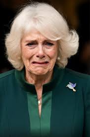 will you support me as future queen of england?