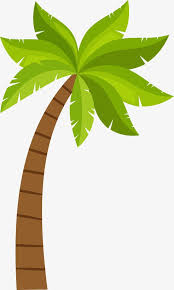 Download 39,531 coconut picture tree stock illustrations, vectors & clipart for free or amazingly low rates! Png Clipart Coconut Tree Clip Art Png