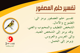 (سن) هي في المنام دالة على منتهى الأجل والسن الذي كتب له وجميع الأسنان تدل على الأولاد وربما دلت الأسنان على المال والدواب والأجراء (ضرس الإنسان) الأضراس في المنام كبار قوم الرائي أو خيارهم وما يسقط من أضراس الإنسان أو أسنانه يدل على نقص في المال أو النفس. ØªÙØ³ÙŠØ± Ø­Ù„Ù… Ø§Ù„Ø¹ØµÙÙˆØ± Ø±Ø¤ÙŠØ© Ø§Ù„Ø¹ØµØ§ÙÙŠØ± ÙÙŠ Ø§Ù„Ù…Ù†Ø§Ù… ØªØ±Ù…Ø² Ù„Ù„Ø±Ø²Ù‚ ÙˆØ§Ù„Ø²ÙˆØ§Ø¬ ÙˆÙŠØ¨ Ø³ÙŠ