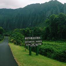 Ho Omaluhia Botanical Garden Oahu Hawaii Hawaii Adventures Hawaii Photography Hawaii Travel