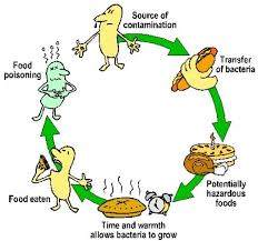 Food Borne Illness And Food Poisoning Which Foods Are The Worst Food Borne Illness Food Safety Posters Food Safety And Sanitation