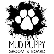 Mud puppy has been going through some aesthetic changes for the past two months and we are proud to finally be picture ready! Mud Puppy Home Facebook