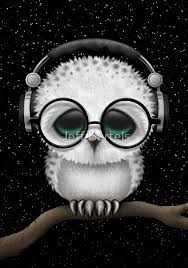Baby Owl Dj With Headphones And Glasses By Jeff Bartels Baby Owls Cute Animal Drawings Cute Baby Animals
