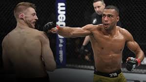 Contact edson barboza jr on messenger. Edson Barboza Ufc
