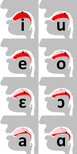 Das deutsche alphabet besteht aus 26 buchstaben, 3 umlauten (ä, ö,. Cardinal Vowels Wikipedia