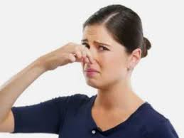 Miriam Anne (Monsour) Donnellon