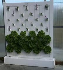 22 Awesome Indoor Hydroponic Wall Garden Design Ideas Hydroponics Diy Hydroponics Wall Garden