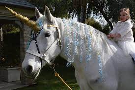 When you book a pony party with us, you get quality trained staff and ponies to suit your party needs. Want A Unicorn Here S Where You Can Rent One