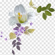 Watercolor Painting Drawing Clip Art Petal Water Colours Decorate Beautiful Flowers Transparent Png How to paint a rose demo: watercolor painting drawing clip art