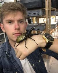 The rare insect in my house!!