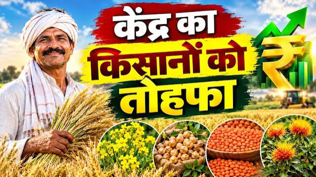 गेहूं के MSP में सिर्फ 25 का इजाफा, सरसों के किसानों को 413 ज्यादा, जानें रबी की 6 फसलों के नए भाव - News18 हिंदी