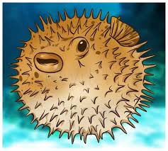 How To Draw A Blowfish Step By Step Drawing Guide By Dawn Dragoart Com Make a slope at the top.