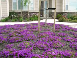 Galerías de plantas colgantes de sol balcon. Plantas Para Un Jardin O Balcon Con Mucho Sol El Blog Del Decorador