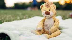 Stuff You Should Know About Stuffed Toys Washing Stuffed Animals Toys Plush Stuffed Animals