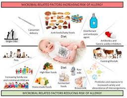 From Nutrients Open Access Journal Article Gut Microbiota As A Target For Preventive And Therapeutic Intervention Aga Food Allergies Allergies Gut Microbiota