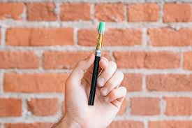 How to Recharge a Disposable Vape | True North Cannabis Co.