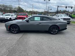 Image result for Daytona Gray 2025 S