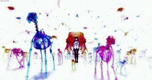 Sakurako San No Ashimoto Ni Wa Shitai Ga Umatteiru Personajes Https Encrypted Tbn0 Gstatic Com Images Q Tbn 3aand9gcs2 Jptnexp6dtbzt Gviya0t2x84j2u3q5sq Usqp Cau