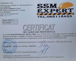 Sigur nu ai contract de muncă, ci convenție care nu se ia în calcul la calcularea pensie și nu, daca este de acest tip indiferent de nr. Hr And Consulting Morelegal 37369329627