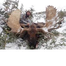 When is moose season in alaska. Yukon Alaska Moose Mountain Caribou And Grizzly Bear Hunt