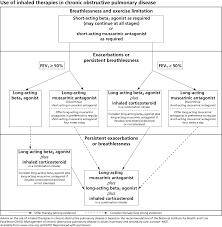 chronic obstructive pulmonary disease treatment summary