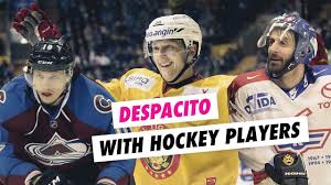 German ice hockey league) or del, is a german professional ice hockey league. Despacito With Hockey Players Despacito Mit Eishockey Spieler Youtube