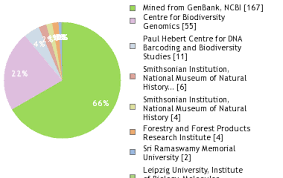 Image result for Pandanus chiliocarpus