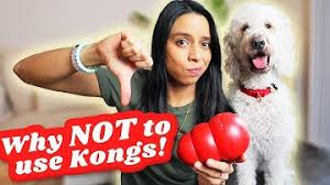 You can stuff anything that is safe for your dog to eat (in healthy amounts) into their kong. Free Dog Toys Uk