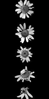 Fondos De Pantalla Tumblr 45 Imagenes E Ideas 2021 Informacion Imagenes Descargar el fondo de pantalla de tumblr sad mas hermosa para tu android iphone pc macbook tableta. fondos de pantalla tumblr 45 imagenes