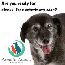 She will eventually specialize in veterinary rehabilitation and hospice care. Whole Pet Wellness Wholepet Twitter