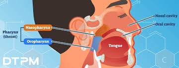 Swab Collection Methods For Covid 19 Testing Dtpm
