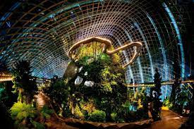 Pages liked by this page. Gardens By The Bay Attractions In Singapore Park Hotel Group