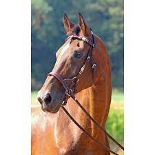 Great for horses with sensitive or injured mouths. Sidepull Western Sidepull Western
