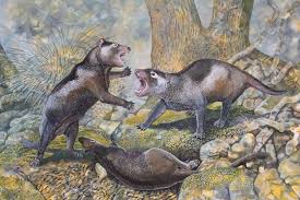 Bekijk wat pieter schouten (pieterschouten) heeft gevonden op pinterest, de plek met 's werelds beste ideeën. Whollydooleya Tomnpatrichorum Peter Schouten Prehistoric Creatures Prehistoric Animals Extinct Animals