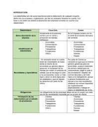 Matriz De Analisis Stakeholders Ensayos Xasotx
