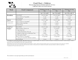 Adult Care Food Program Template Templates At